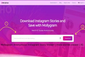 Top 5 Secrets About Mollugram full details